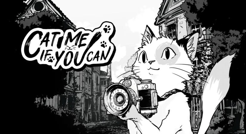 Cat Me If You Can teszt – Macska-jaj