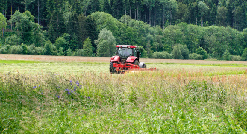 Figyelmezteti a magyarokat az Államkincstár: ezt sokaknak kötelező jelenteni