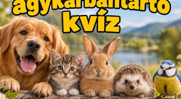 Roppant nehéz agykarbantartó kvíz: Egy kis érdekes fejtörő (877)