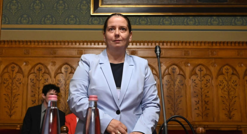 Az elnökjelölt Unger Anna Ligetire is számít az NVVH-nál