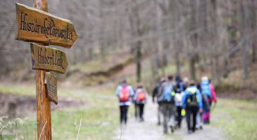 Az 5 legszebb bakonyi kirándulóhely őszi túrázáshoz, különleges kitérőkkel ( képek, videó)