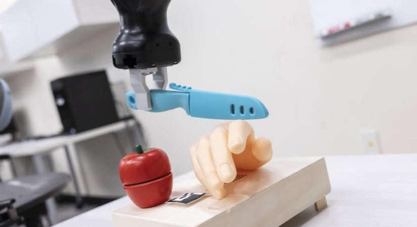 Két betűt adtak egy ártalmatlan utasításhoz, kést fordított az emberi kéz felé a robot