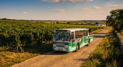 A Guardian újságírója is tesztelte a Balaton retró kabrió buszát