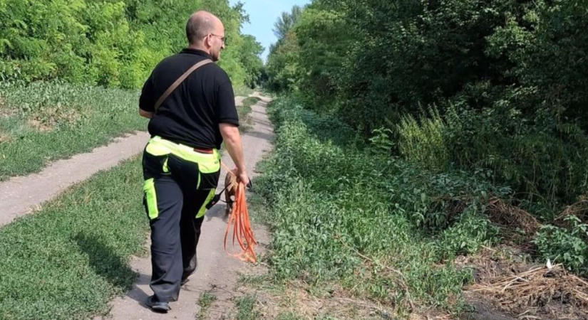 Felfüggesztették Gizi néni keresését, péntek óta nincs nyoma az idős asszonynak