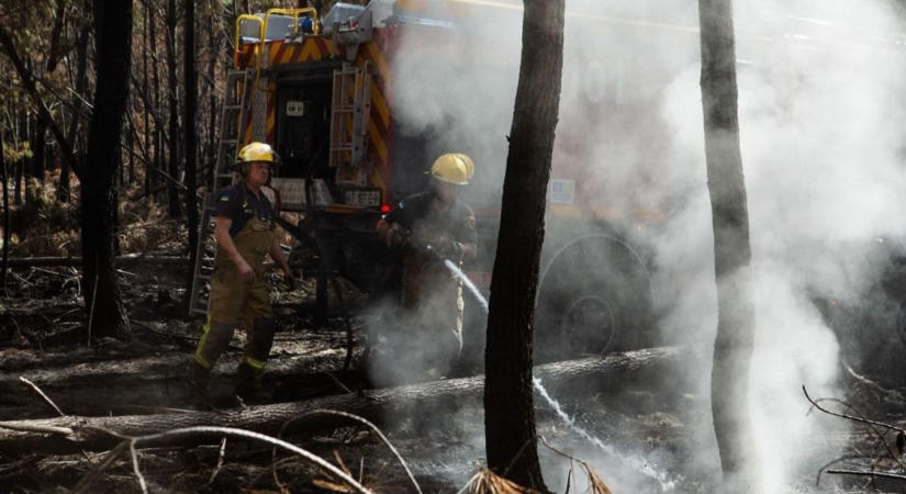 Már két jóslatát is teljesültnek tartják – de vajon mi az igazság a 2026-os próféciáiról?