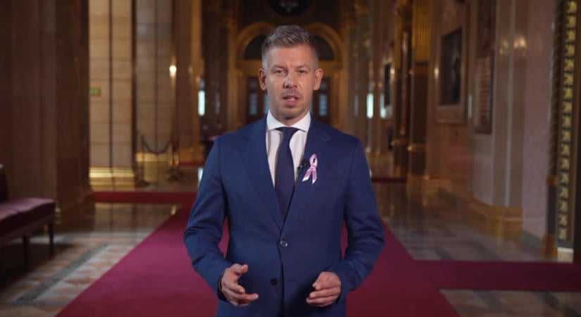 Magyar Péter részletesen elmagyarázta a gyermekvédelmi törvény újításait – videó