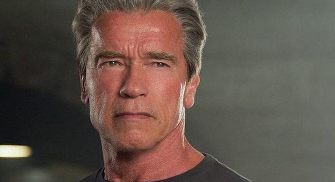 Arnold Schwarzenegger a legrosszabb kritikájáról: „Azt írták, még a ló is kifejezőbb nálam!”