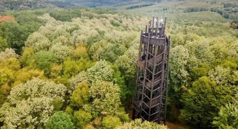 Somogyi kilátó lehet az országos verseny győztese – voksokat gyűjt a Zselici Csillagpark építménye