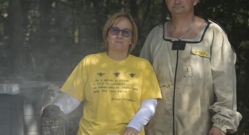Kétszáz és egymillió csípés között