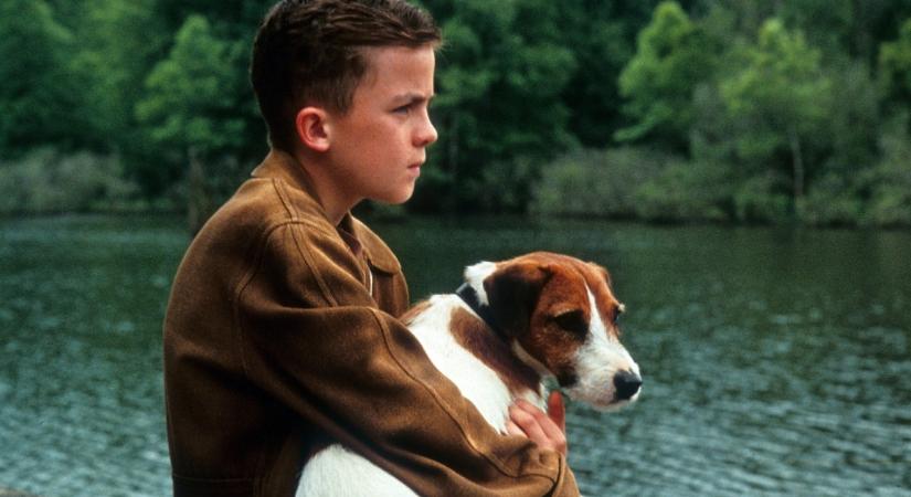 A világ leggazdagabb tinisztárjai között is ott volt, most 10 év után válik Frankie Muniz