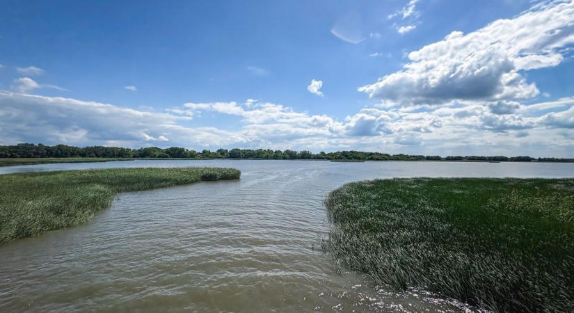 Óriási küzdelem zajlik a Tisza-tó halaiért – így mentik az állatokat a halpusztulástól