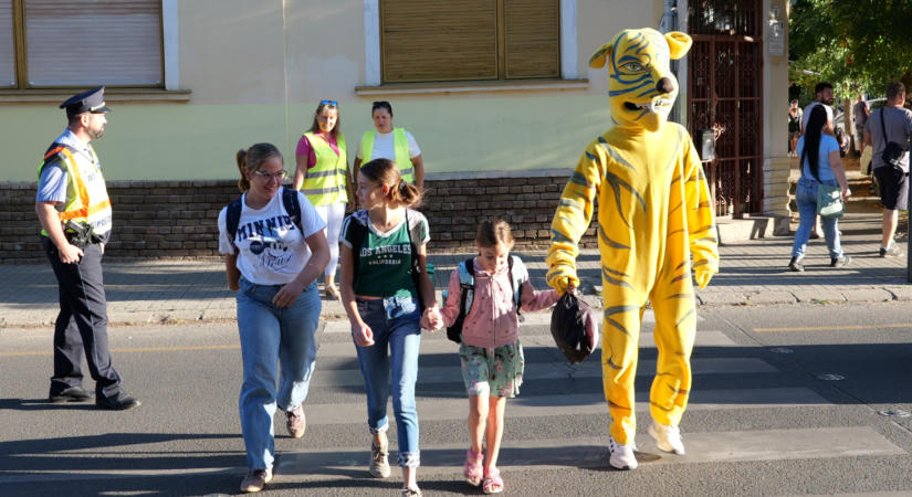 A Tigris kísérte át a gyerekeket a zebrán a Szőnyi iskolánál