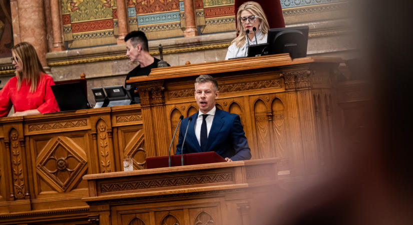 Társadalmi giccs egy abszurd térben – a szembenézés esztétikájáról és lehetőségeiről