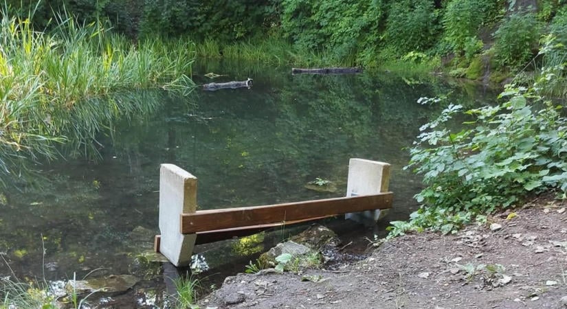 Megmentik a Lelovics kertet, összefognak a lakókkal