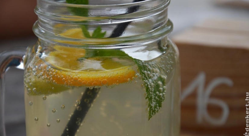 Házi mentaszörp recept - így készül a legfinomabb nyári frissítő