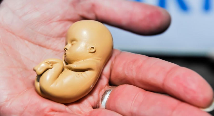 Demográfus: a szívhangrendelet nem hozott fordulatot, a születések számának visszaesése sokkal nagyobb probléma