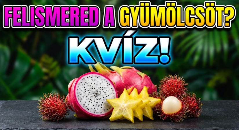 Kvíz: Mutasd meg, hogy nem csak az almát és a banánt ismered fel!