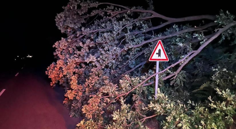 Kidőlt fa nehezítette a közlekedést Lakiteleknél, a tűzoltók azonnal a helyszínre vonultak