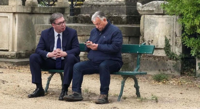 Vucsics elvesztette a választást, de megnyerte a mémversenyt – mutatjuk a legjobbakat