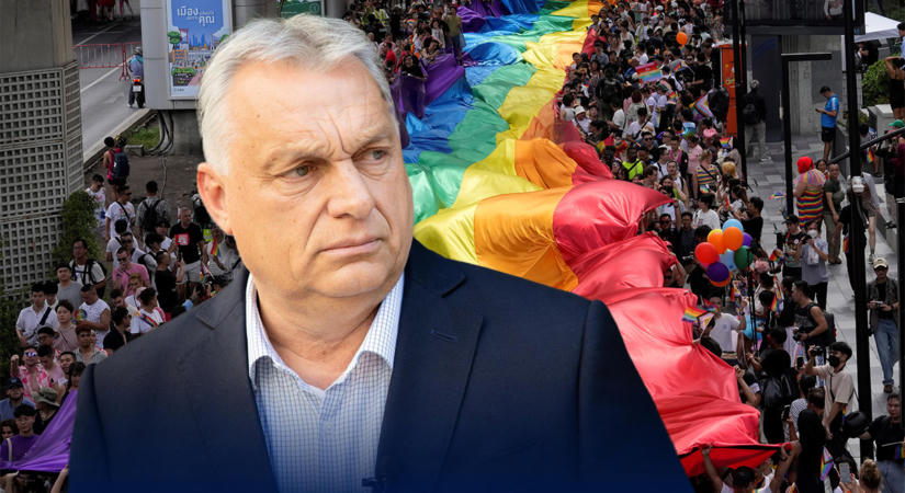 Megkérdeztük olvasóinkat az azonos neműek házasságáról – egyértelmű eredmény született