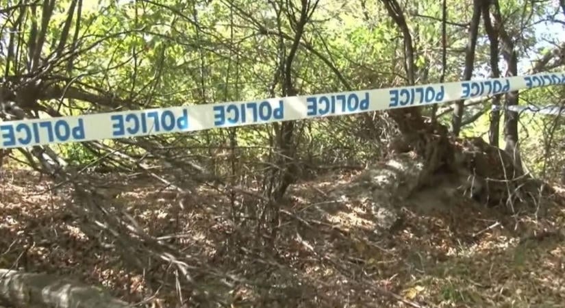 Rendőrök zártak le egy területet a Bükkben! Most derült ki, mit találtak a fák között gombászás közben – videóval