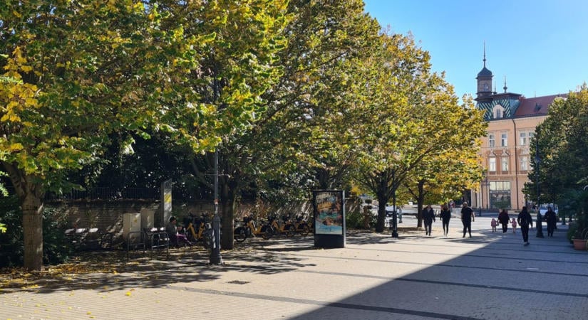 Mutatjuk, ahogy a szelíd őszi napsütésben még a kaposvári leanderek is kibimbóztak – VIDEÓ