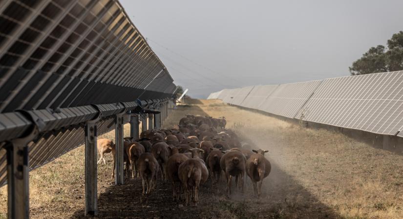 Nincs menedék a hőkupola alatt, kilőttek a magyar áramárak