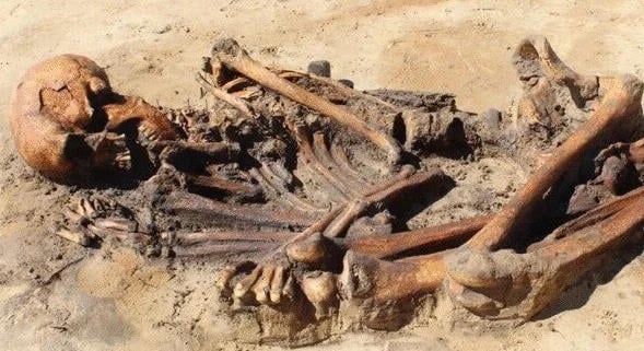 Lakóházakból előkerült csontok bizonyítják a viking kori erőszakot