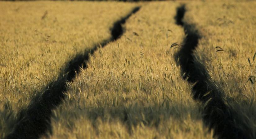 Egyszerűbb szabályok jönnek az uniós agrárpromóciós támogatásoknál