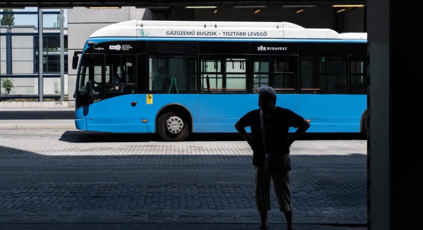 Bicikliző kislány lábán hajtott át a kanyarodó 144-es busz Zuglóban