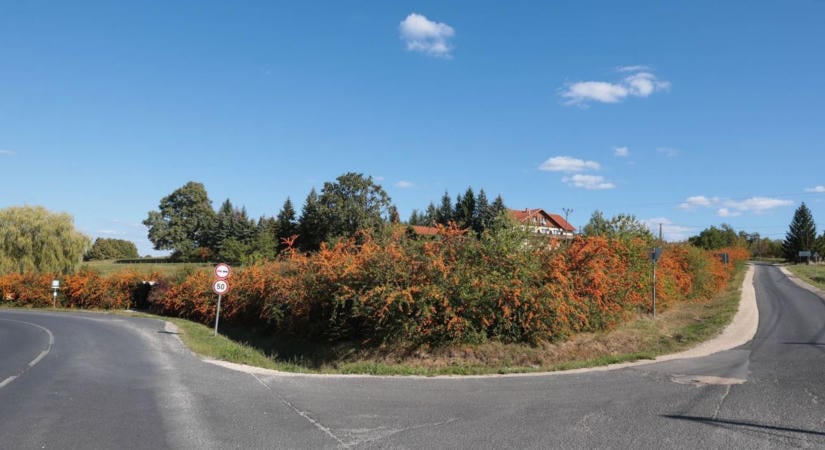 Mintha lángba borult volna az út széle – elképesztő színekkel robbant be az ősz Zalában (galéria)