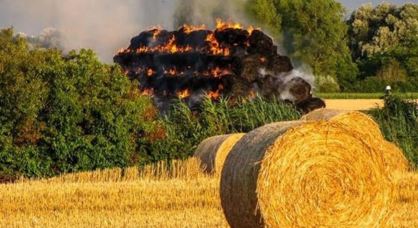 Hatalmas tűz pusztít Kakasd határában: több tűzoltóegység is a helyszínre indult