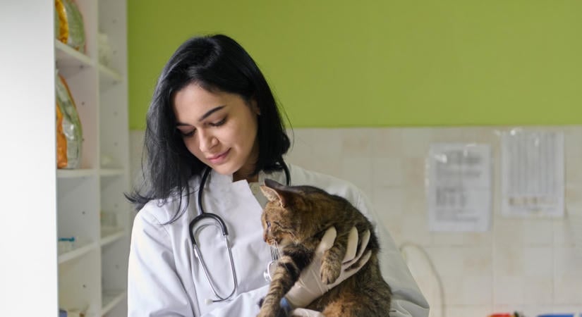 Nagy változás jöhet a háziorvosoknál: 1,4 millió magyart érinthet, ha életbe lépnek a tervek