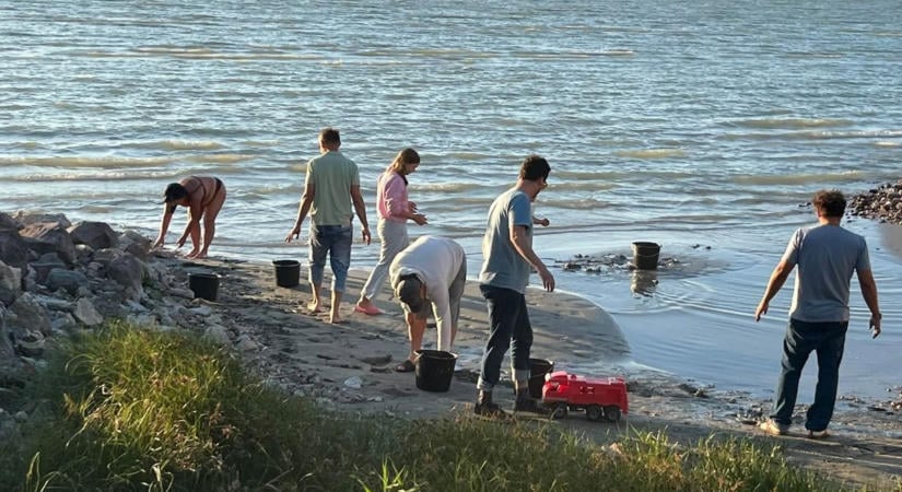Sérülést okozó tárgyak és üvegszilánkok a tómederben – Elképesztő, miket találtak a Balatonban!