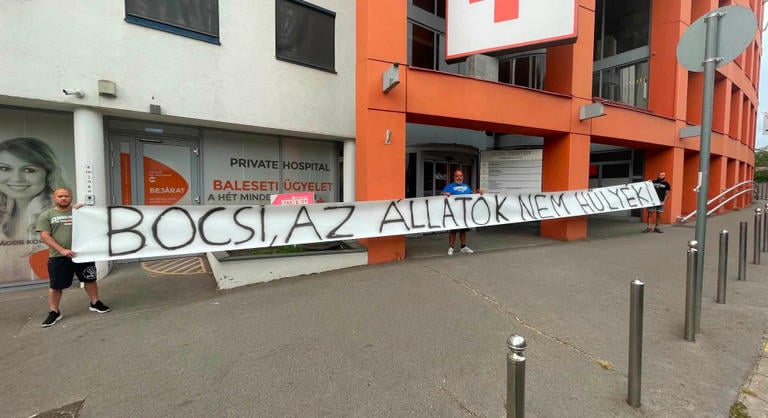 Állatvédők tiltakoztak a Retro Rádió stúdiójánál Bochkor Gábor kijelentése miatt
