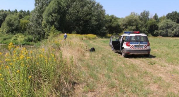 Sorsára hagyta összekötözött kutyáját a Hernádnál