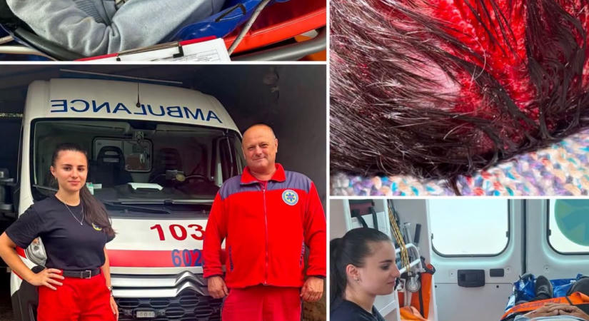Súlyos baleset Beregszász közelében: fejbe rúgott egy férfit egy ló