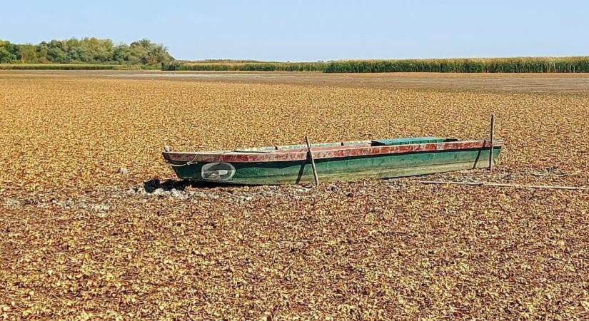Sok helyen teljesen eltűnt a víz a Tisza-tó medréből