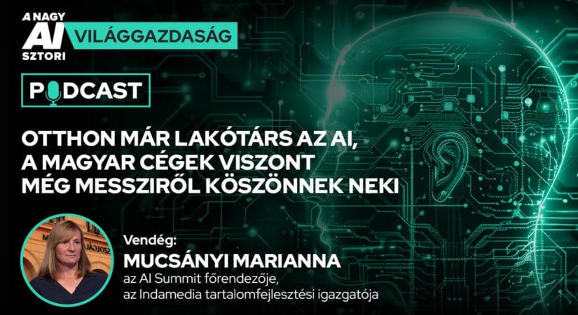 A nagy AI-sztori: otthon már szinte mindenki használt AI-t, de a magyar vállalkozásoknak még csak kis része használja