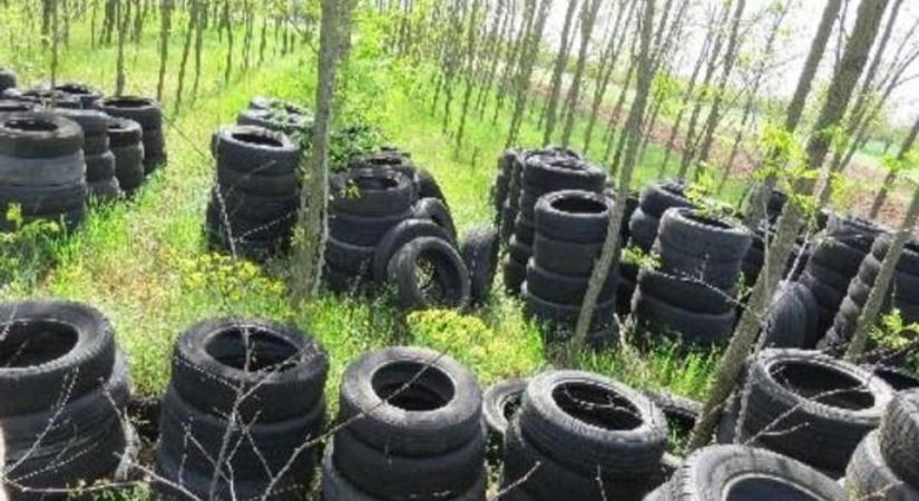 Tonnaszámra állt a gumiabroncs a védett kiserdőben