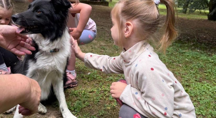 A kutya igazi terápiás társ időseknek és fiataloknak is