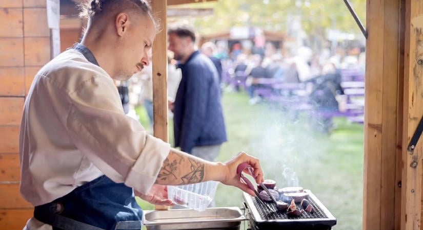 Fügefesztivál, gesztenyenapok, kutyafotózás, LEGO-építés, sör- és kávétúra, színházi bemutató – Itt vannak a legjobb programok