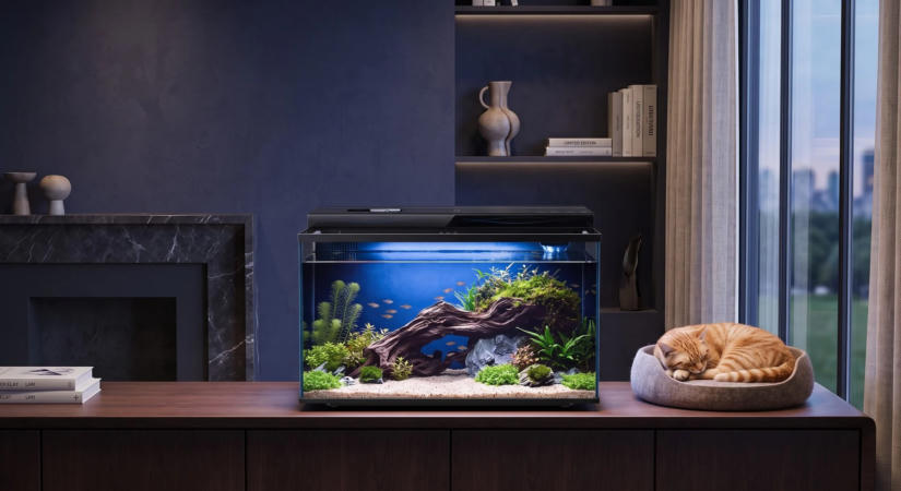 LCD kijelzőt és automata etetőt kapott a Xiaomi új okosakváriuma