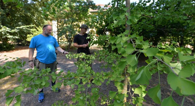 Majdnem hongkongi sztár forgatott a Bedőben