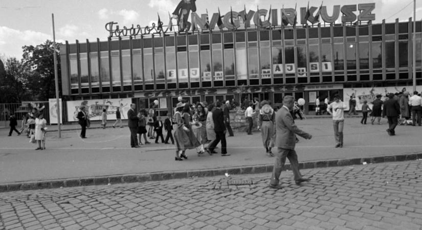 2027-től eltűnnek a vadállatok a magyar cirkuszokból