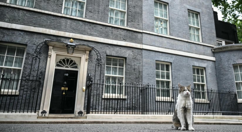 Brit miniszterelnökök jönnek-mennek, de Larry már 15 éve nem mozdul