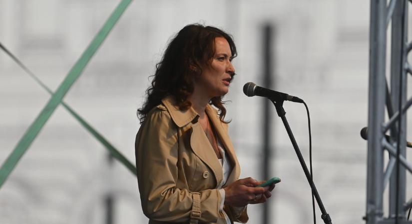 Kulcsár Krisztián kormánypárti képviselő tegnap, a parlamenti ülésen konkrétan lek**vaanyázta Lezsák Anna ellenzéki képviselőt