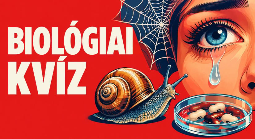 Az élővilág működése a feladvány: kapcsolj kutató üzemmódba a biológiai kvízzel!