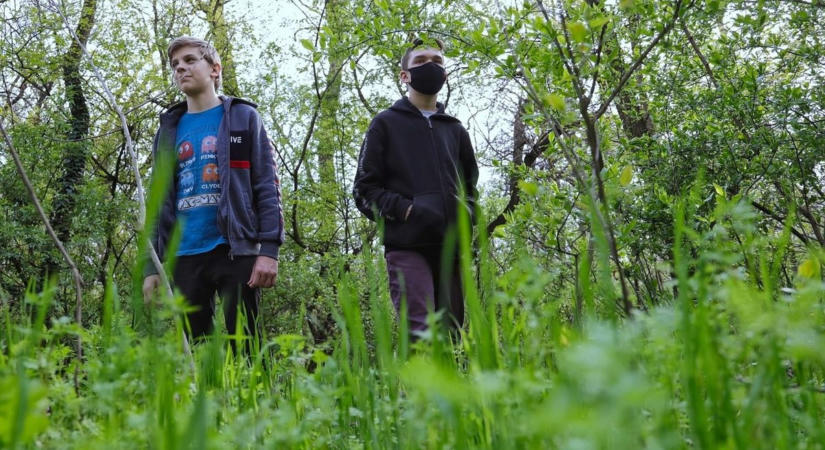 Kullancs ment a bőröd alá? Ezt a három dolgot semmiképp ne tedd, ha el akarod kerülni a bajt! (videó)