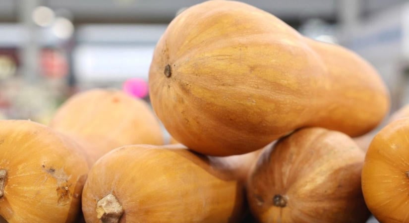 Tökéletes őszi program? Fesztivállal készülnek Mohácson